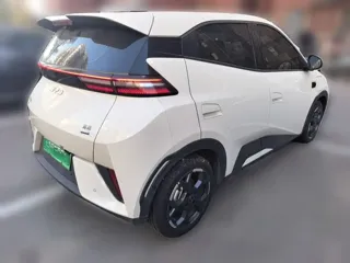 BYD Seagull 2025 купить из Китая, цена 1 584 000 ₽ — Suifenhe Auto