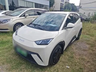 BYD Seagull 2024 купить из Китая, цена 1 256 000 ₽ — Suifenhe Auto