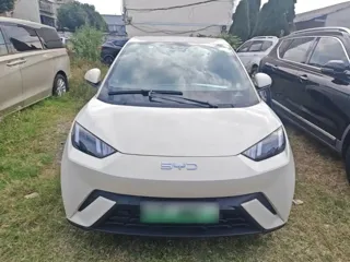 BYD Seagull 2024 купить из Китая, цена 1 256 000 ₽ — Suifenhe Auto