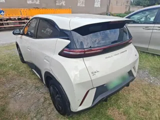 BYD Seagull 2024 купить из Китая, цена 1 256 000 ₽ — Suifenhe Auto
