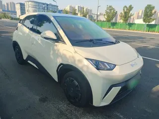 BYD Seagull 2024 купить из Китая, цена 1 340 000 ₽ — Suifenhe Auto