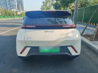 BYD Seagull 2024 купить из Китая, цена 1 340 000 ₽ — Suifenhe Auto