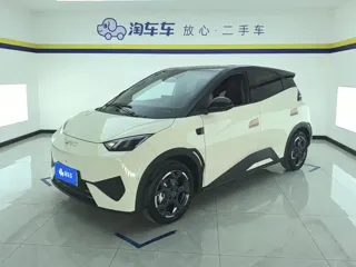 BYD Seagull 2025 купить из Китая, цена 1 435 000 ₽ — Suifenhe Auto