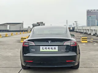 Tesla Model 3 2020 купить из Китая, цена 3 995 000 ₽ — Suifenhe Auto