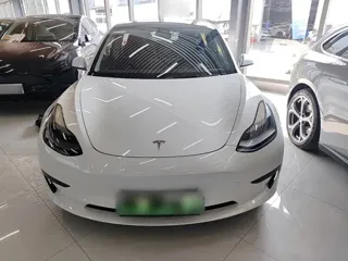 Tesla Model 3 2021 купить из Китая, цена 4 155 000 ₽ — Suifenhe Auto