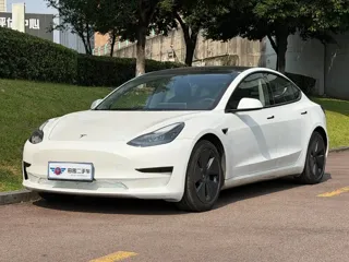 Tesla Model 3 2021 купить из Китая, цена 4 104 000 ₽ — Suifenhe Auto