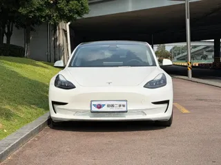 Tesla Model 3 2021 купить из Китая, цена 4 104 000 ₽ — Suifenhe Auto