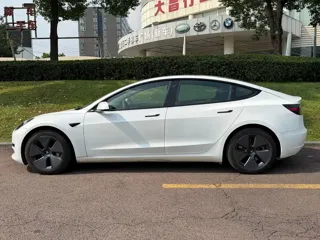 Tesla Model 3 2021 купить из Китая, цена 4 104 000 ₽ — Suifenhe Auto