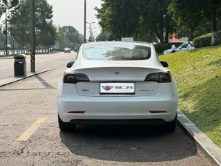 Tesla Model 3 2021 купить из Китая, цена 4 104 000 ₽ — Suifenhe Auto