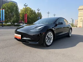 Tesla Model 3 2022 купить из Китая, цена 5 003 000 ₽ — Suifenhe Auto