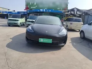 Tesla Model 3 2023 купить из Китая, цена 4 935 000 ₽ — Suifenhe Auto