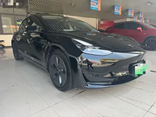 Tesla Model 3 2022 купить из Китая, цена 4 578 000 ₽ — Suifenhe Auto