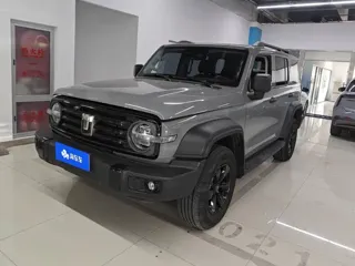 Tank 300 2024 купить из Китая, цена 4 187 000 ₽ — Suifenhe Auto