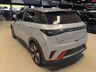 BYD Dolphin 2023 купить из Китая, цена 3 256 000 ₽ — Suifenhe Auto