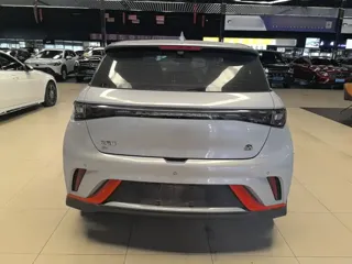 BYD Dolphin 2023 купить из Китая, цена 3 256 000 ₽ — Suifenhe Auto