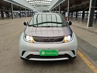 BYD Dolphin 2022 купить из Китая, цена 1 461 000 ₽ — Suifenhe Auto