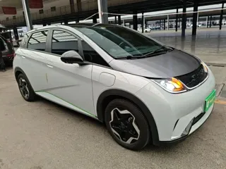 BYD Dolphin 2022 купить из Китая, цена 1 461 000 ₽ — Suifenhe Auto