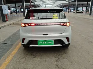 BYD Dolphin 2022 купить из Китая, цена 1 461 000 ₽ — Suifenhe Auto