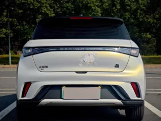 BYD Dolphin 2022 купить из Китая, цена 1 342 000 ₽ — Suifenhe Auto