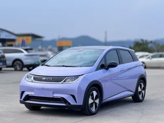 BYD Dolphin 2023 купить из Китая, цена 1 540 000 ₽ — Suifenhe Auto
