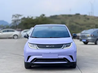 BYD Dolphin 2023 купить из Китая, цена 1 540 000 ₽ — Suifenhe Auto
