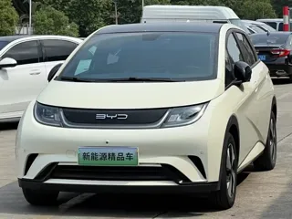 BYD Dolphin 2023 купить из Китая, цена 1 450 000 ₽ — Suifenhe Auto