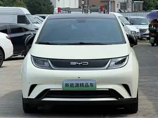 BYD Dolphin 2023 купить из Китая, цена 1 450 000 ₽ — Suifenhe Auto