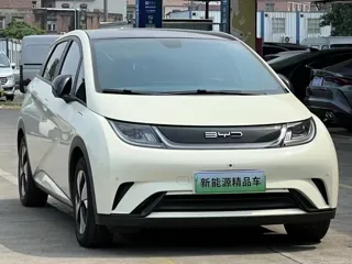 BYD Dolphin 2023 купить из Китая, цена 1 450 000 ₽ — Suifenhe Auto