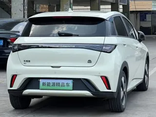 BYD Dolphin 2023 купить из Китая, цена 1 450 000 ₽ — Suifenhe Auto