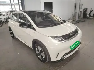BYD Dolphin 2023 купить из Китая, цена 1 555 000 ₽ — Suifenhe Auto