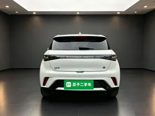 BYD Dolphin 2023 купить из Китая, цена 1 555 000 ₽ — Suifenhe Auto