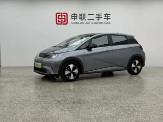 BYD Dolphin 2024 купить из Китая, цена 1 574 000 ₽ — Suifenhe Auto
