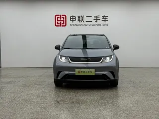 BYD Dolphin 2024 купить из Китая, цена 1 574 000 ₽ — Suifenhe Auto
