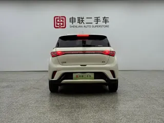 BYD Dolphin 2024 купить из Китая, цена 1 542 000 ₽ — Suifenhe Auto