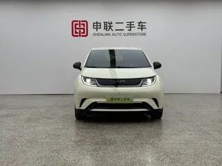 BYD Dolphin 2024 купить из Китая, цена 1 542 000 ₽ — Suifenhe Auto