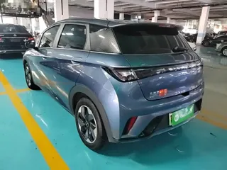 BYD Dolphin 2025 купить из Китая, цена 1 666 000 ₽ — Suifenhe Auto
