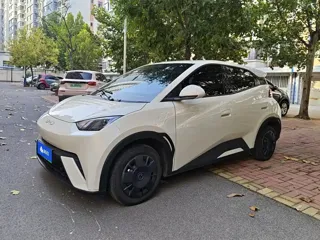 BYD Seagull 2024 купить из Китая, цена 1 290 000 ₽ — Suifenhe Auto