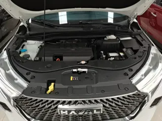 Фото 19