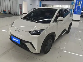 BYD Seagull 2024 купить из Китая, цена 1 253 000 ₽ — Suifenhe Auto