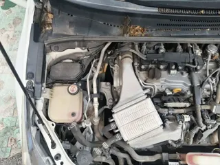Фото 20