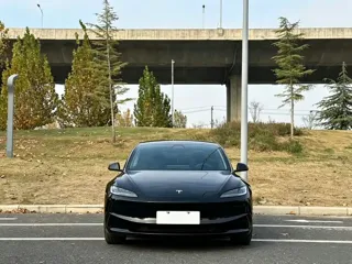 Tesla Model 3 2024 купить из Китая, цена 4 517 000 ₽ — Suifenhe Auto