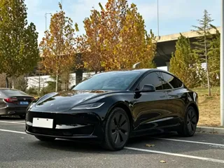 Tesla Model 3 2024 купить из Китая, цена 4 517 000 ₽ — Suifenhe Auto
