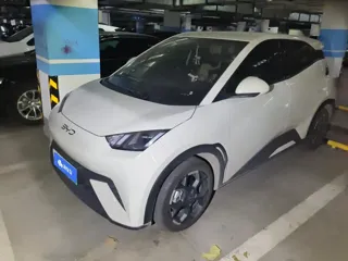 BYD Seagull 2025 купить из Китая, цена 1 355 000 ₽ — Suifenhe Auto