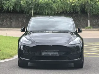 Tesla Model Y 2023 купить из Китая, цена 5 134 000 ₽ — Suifenhe Auto