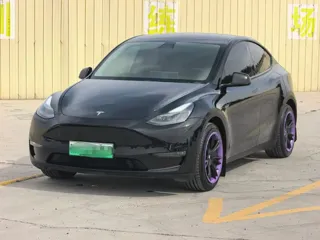 Tesla Model Y 2022 купить из Китая, цена 5 164 000 ₽ — Suifenhe Auto