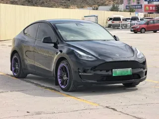 Tesla Model Y 2022 купить из Китая, цена 5 164 000 ₽ — Suifenhe Auto