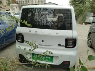 Galaxy Panda 2023 купить из Китая, цена 906 000 ₽ — Suifenhe Auto