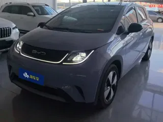 BYD Dolphin 2023 купить из Китая, цена 1 391 000 ₽ — Suifenhe Auto