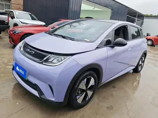 BYD Dolphin 2023 купить из Китая, цена 1 422 000 ₽ — Suifenhe Auto