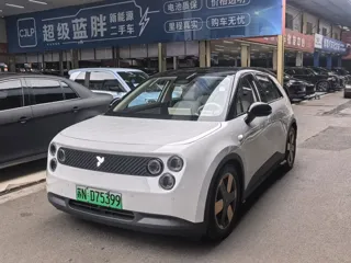 Firefly Firefly 2026 купить из Китая, цена 2 072 000 ₽ — Suifenhe Auto